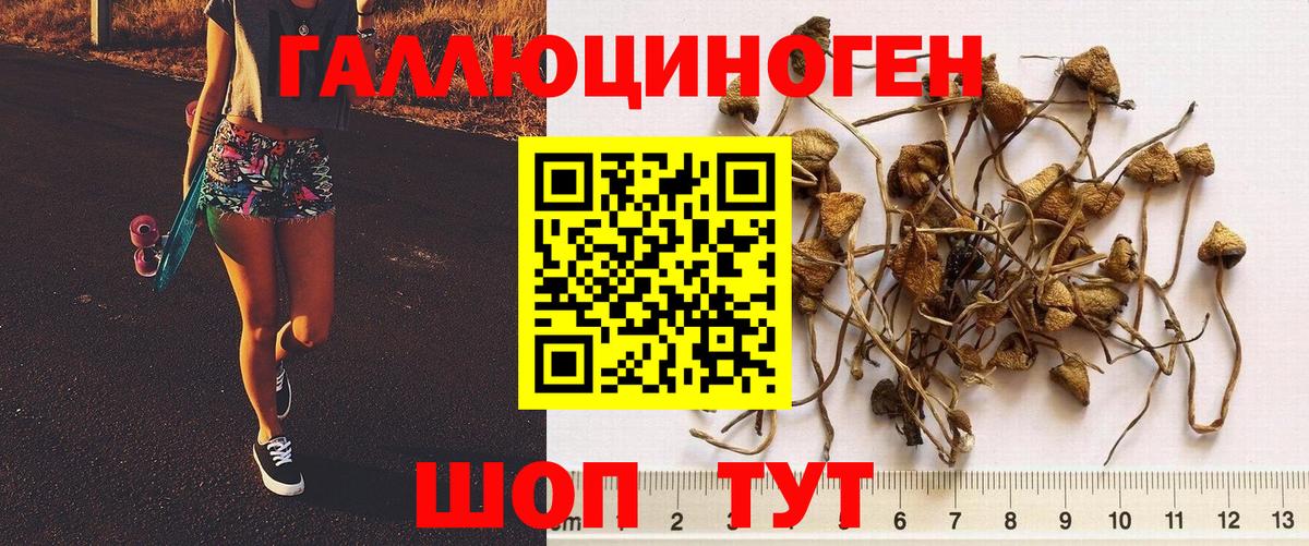 Алексеевка  Псилоцибиновые грибы прущие грибы  Вход с VPN 